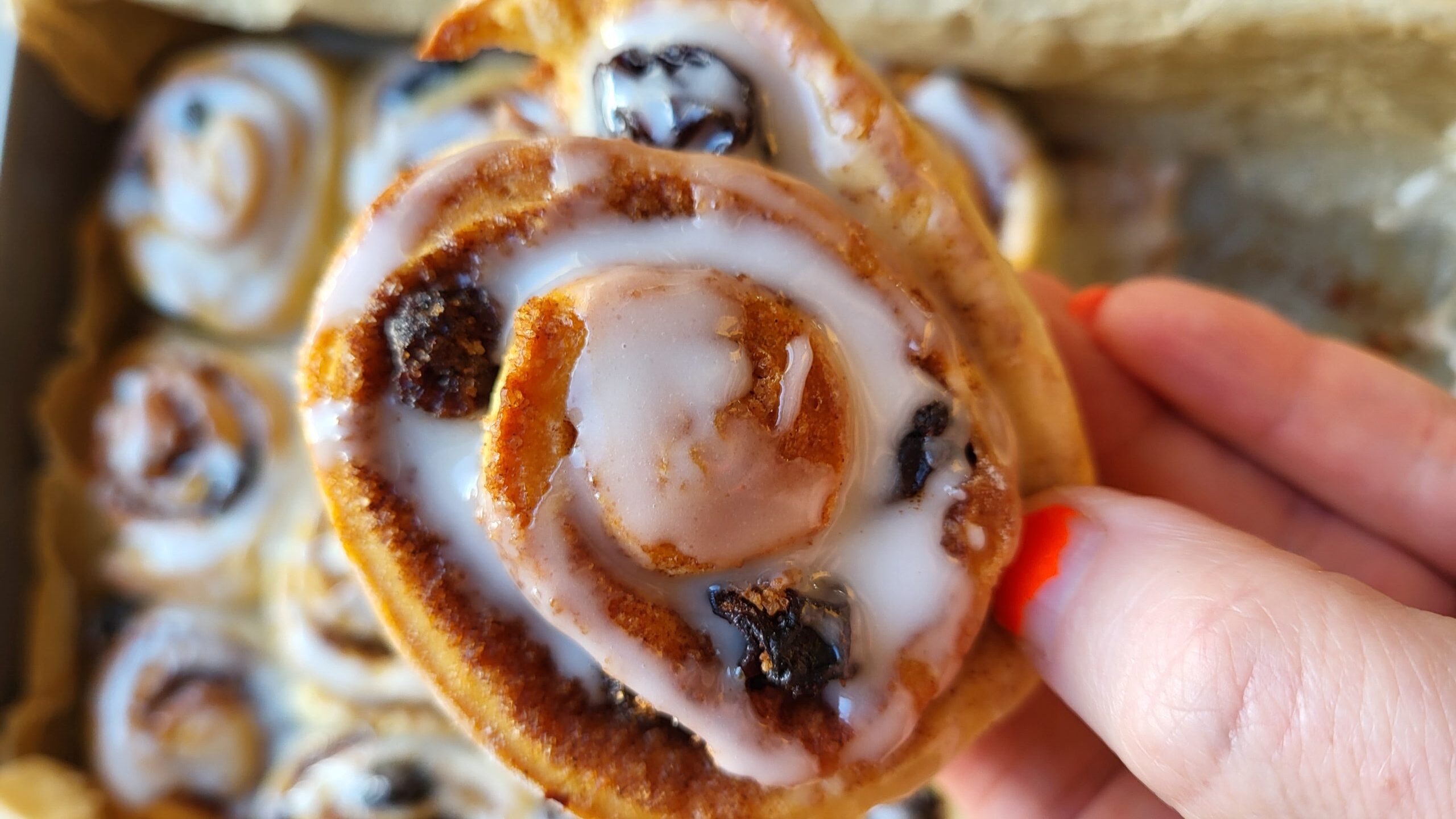 Soft & Gooey Cinnamon Rolls