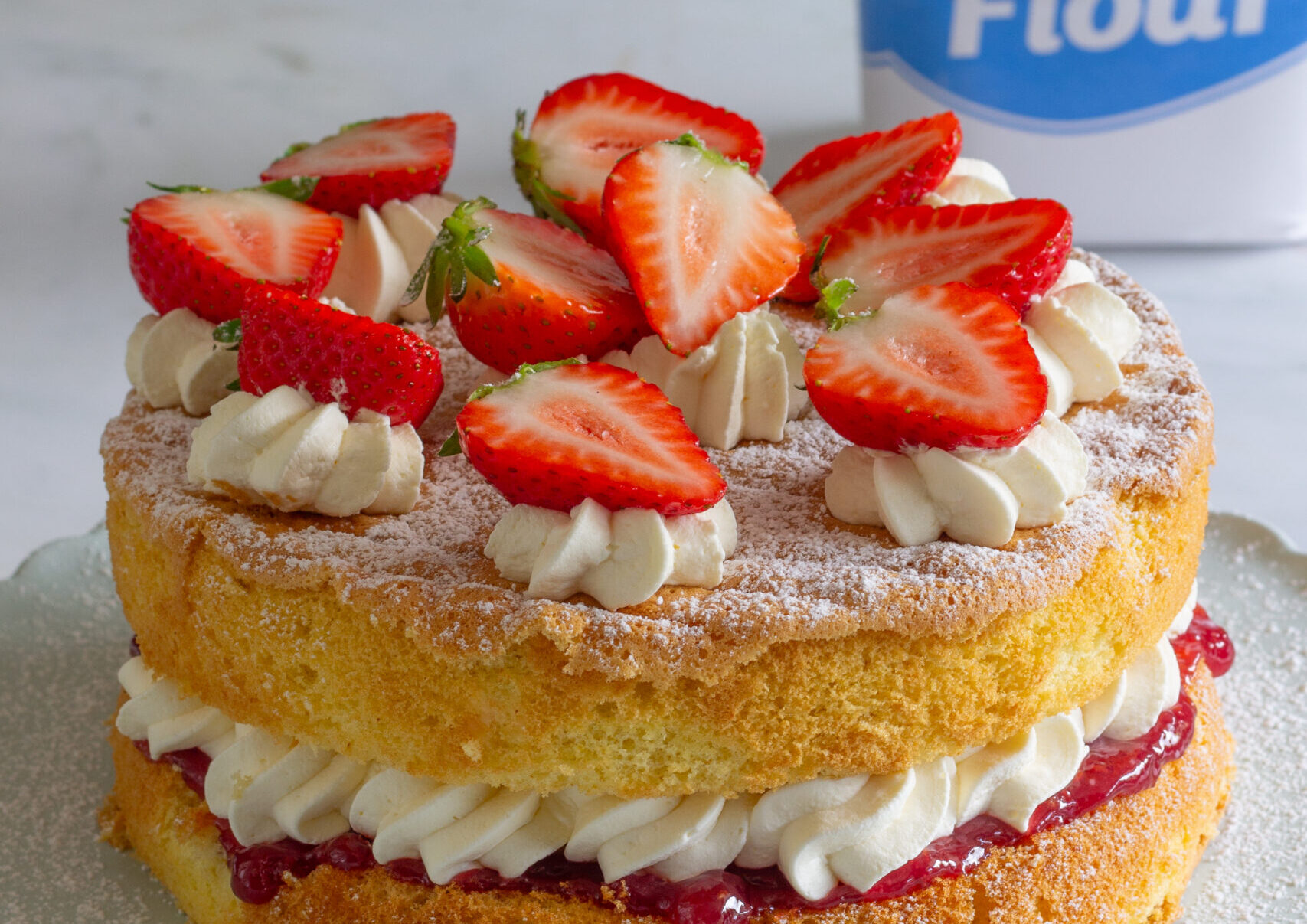 Genoise Sponge